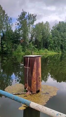 A video shot from a boat shows a cylindrical object floating in the water, covered in rust and algae. Behind it, a dense forest lines the shore, its trees reflected in the calm water. The sky is cloudy, with patches of blue peeking through. The video pans to the right, showing more of the forest and the lake.
