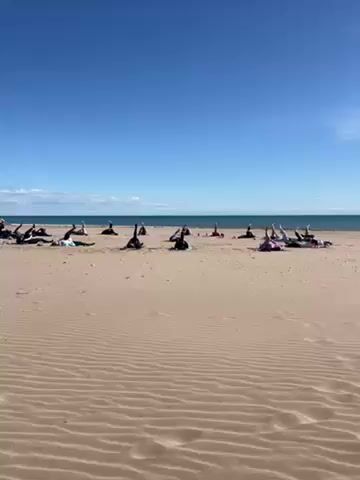 Okay, here's a concise description of the video:

The video shows a group of approximately 15 people performing a yoga pose on a sandy beach.  The people are lying on their backs with their legs raised vertically in the air. The scene is set on a sunny day with a clear blue sky and a calm ocean visible in the background. The sand is dry and has visible ripple patterns. The people are spread out in a loose formation on the beach.