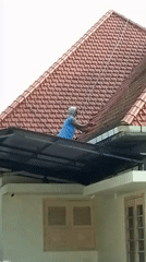 Jember street traffic and rooftop work on a busy morning