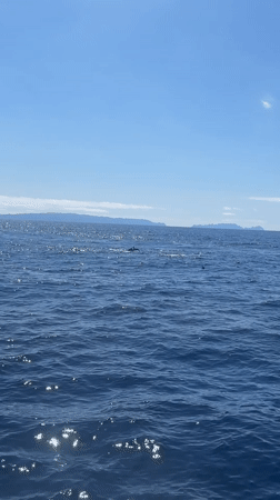 Ocean vista captured from Funchal showing distant mountains