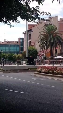 The video shows a street scene with buildings, a palm tree, a traffic light, and vegetation. The road in the foreground is asphalt with white lane markings. In the background, there are several buildings of varying architectural styles, some with modern glass facades and others with traditional brickwork. A tall palm tree stands prominently in the middle ground, with a traffic light showing a red signal. There are also some decorative plants and flowerbeds along the side of the road. The sky is overcast. The camera appears to be mounted on a vehicle moving along the road.