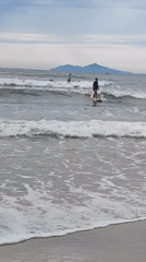 Surfers riding waves off the coast of Da Nang