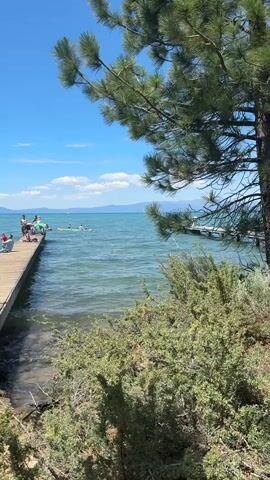 The video shows a wooden pier extending into a clear blue lake on a sunny day. Several people are on the pier, some standing and some sitting. One person is leaning over the edge, appearing to examine something in the water. In the background, more people are in the water, with some on paddleboards. Trees and bushes line the shore, and mountains are visible in the distance. The water is calm with gentle waves lapping at the pier.