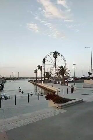 A harbor is shown from a raised perspective. The water is calm and reflects the sky. Several boats, including sailboats and smaller motorboats, are moored in the harbor. Palm trees line the walkway. In the background, a Ferris wheel can be seen. The sky is a light blue with scattered white clouds, suggesting it is either early morning or late afternoon. The overall atmosphere is peaceful and serene.