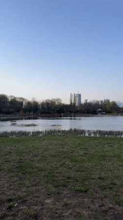 Evening park life documented across Warsaw recreational areas