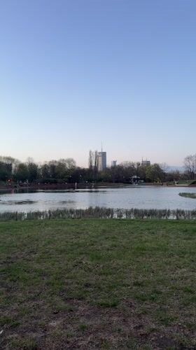 Evening park life documented across Warsaw recreational areas