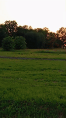 Quiet evening at Sztynort marina and fields at sunset