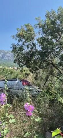 The video shows a wide shot of an abandoned white boat with red accents, partially overgrown by vegetation and flowers. The boat is situated in a grassy area with trees and a mountain range visible in the background under a clear blue sky. The boat appears to be a motorboat, possibly a speed boat, and its hull is weathered and shows signs of disuse. The surrounding environment is natural and appears to be a rural or undeveloped area.