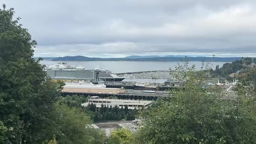 A high-angle, medium shot captures a cloudy day scene at a harbor with several large cruise ships docked. The foreground is dominated by lush green trees and foliage, obscuring the lower portion of the frame. Beyond the trees, a wide expanse of water stretches to the horizon, dotted with various boats and ships. In the mid-ground, two prominent cruise ships are docked side-by-side at a pier. The ship on the left is white and larger, with "PRINCESS CRUISES" visible on its hull, and appears to be named "Enchanted Princess". The ship on the right is darker, with a lighter superstructure, and has "AMERICA" visible on its hull. Between the ships and the water, industrial buildings and structures line the waterfront. In the distance, a hazy shoreline with rolling hills and mountains is visible under a thick layer of clouds. The overall atmosphere is overcast and still. There are no visible people in the frame.