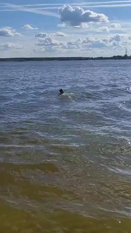 A person swims in a large body of water. The person is in the center of the frame, swimming towards the viewer. The water is choppy and blue. The sky is partly cloudy and blue. The shoreline is visible in the distance.