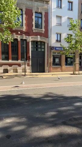 The video shows a street scene with buildings and two seagulls. In the foreground, there is a paved street with shadows from trees. A white line marks the edge of the sidewalk. A seagull is standing on the sidewalk. Another seagull is further down the sidewalk. Behind the sidewalk, there is a brick building with large windows and a dark colored double door. To the right of the brick building is a white building with multiple windows. A black car is driving on the street. The sky is blue and there are green trees along the sidewalk.