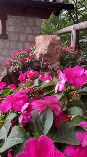 Pink impatiens and a trickling stone fountain in Molveno