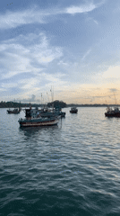 Fishing boats anchored in calm Weligama waters captured on video