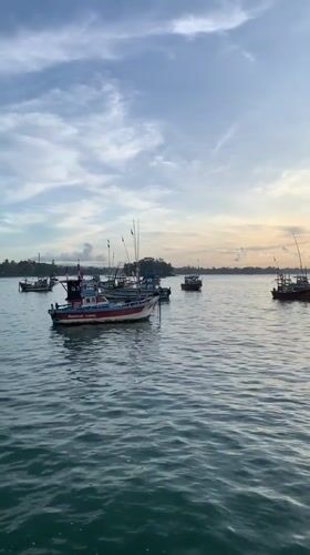 Fishing boats anchored in calm Weligama waters captured on video
