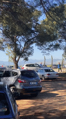 Flea market draws shoppers to outdoor antique vendors in Podgorica