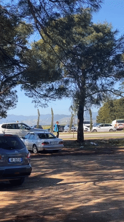 Flea market draws shoppers to outdoor antique vendors in Podgorica
