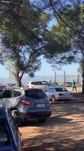 Flea market draws shoppers to outdoor antique vendors in Podgorica