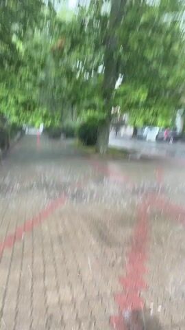 The video shows a view from under a canopy or overhang, looking out at a tree-lined path during a rain shower. The path is paved with interlocking bricks, some of which are red. Raindrops are visible falling on the path and in the air, creating small splashes. Lush green trees with full foliage arch over the path. In the distance, there are glimpses of buildings and parked cars, suggesting an urban or suburban setting. The lighting is overcast, typical of rainy weather. There are no people or visible animals in the immediate frame. The scene is tranquil, with the focus on the natural elements of the rain and trees.