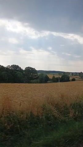The video shows a view from a moving vehicle, looking out over a vast golden field of crops, likely wheat or barley, that has been recently harvested or is ready for harvest. The field extends to the horizon, where rolling hills and a line of trees can be seen. The sky is partly cloudy, with patches of blue sky visible between dramatic gray clouds. The foreground features a border of green grass and other vegetation, and a dark asphalt road is partially visible at the bottom right. The overall impression is a rural landscape under a dynamic sky.