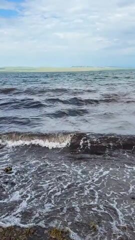 The video shows a close-up view of dark, choppy waves rolling onto a rocky shore. The water is a deep, murky color, and white foam crests the waves as they break. In the distance, beyond the water, a faint line of green hills or plains is visible under a cloudy sky. The overall impression is one of a somewhat overcast and breezy day by a lake or sea. There are no people or explicit actions depicted, just the natural movement of water and the surrounding landscape. Red buoys are visible scattered across the water in the mid-ground, suggesting a marked area or perhaps a fishing zone. The shoreline is comprised of small rocks and some dried vegetation.