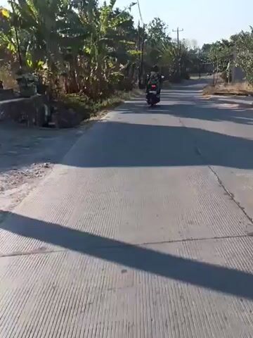 The video shows a person riding a motorcycle down a paved road in a rural area. The road is lined with trees and vegetation, and there are houses and utility poles visible in the background. The sun is shining, casting shadows on the road. The motorcycle appears to be moving at a moderate speed. The rider is wearing a dark helmet and a dark jacket. The video is shot from a perspective behind the motorcycle, giving the viewer the impression of riding along.