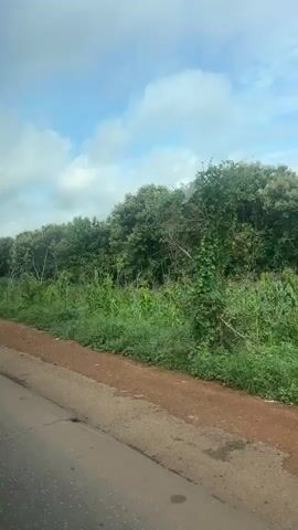 The video shows a view from a vehicle traveling along a dirt road. On the right side of the road, there is a dense line of trees and vegetation, including what appears to be a cornfield. The sky is cloudy with patches of blue. The road itself is made of red dirt and appears to be unpaved. There are no people or other vehicles visible in the frame. The camera is moving, creating a sense of motion. The overall impression is of a rural landscape.