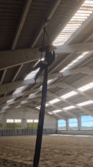 Aerial silks performer practices routines in Belgian indoor facility