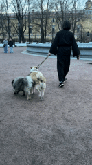 Ordinary afternoon moments captured across Saint Petersburg waterfront areas