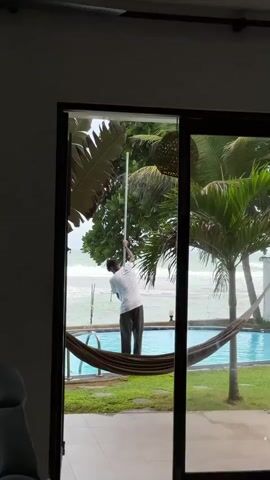 A person in a white t-shirt and dark pants is standing by a swimming pool, holding a long pole and reaching up to trim a tree. The person is positioned on the edge of the pool, which is surrounded by green grass and palm trees. In the background, the ocean can be seen with waves. A hammock is suspended between two trees near the pool. The scene is viewed from indoors through a large glass door or window.
