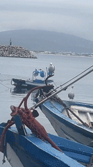 Evening harbor life captured in M'Diq, Morocco fishing port