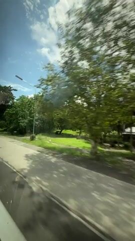 The video shows a view from a moving vehicle, likely a bus or car, looking out the side window. The scenery consists of a road, a grassy area with trees, and a bright blue sky with scattered clouds. The trees appear lush and green, suggesting a tropical or subtropical environment. The camera is capturing the landscape as it passes by, resulting in motion blur. There are no people clearly visible, and the focus is on the natural environment and the road.