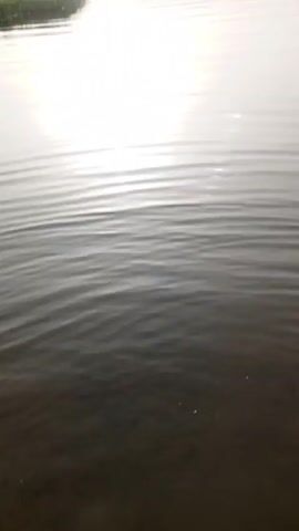 The video displays a tranquil body of water, appearing to be a lake, under an overcast sky with the sun attempting to pierce through. The water's surface is marked by gentle ripples and reflects the light. In the distance, there are rolling hills or mountains, adding depth to the landscape. A small structure or gazebo sits on the lake, providing a focal point amid the natural scenery. The foreground features the edge of the lake, lined with vegetation, suggesting a natural shoreline. The overall tone is peaceful and serene.