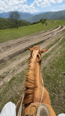 Morning horseback ride captured in Armenian countryside fields