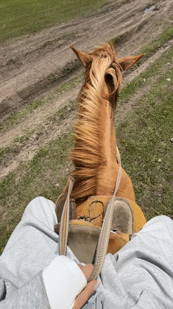 Morning horseback ride captured in Armenian countryside fields