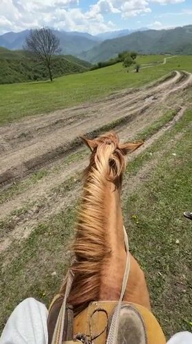 Morning horseback ride captured in Armenian countryside fields