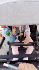 Baby in stroller, seagull on van observed simultaneously