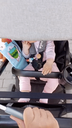 Baby in stroller, seagull on van observed simultaneously