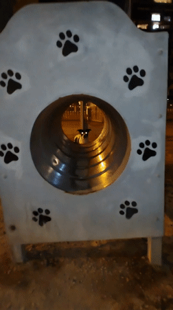 Dog plays through decorated tunnel at Lima park