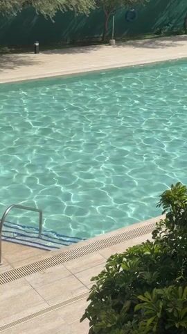 The video shows a swimming pool with light turquoise water, shimmering due to sunlight. A set of steps with a metal handrail leads into the pool. The pool is surrounded by light-colored tiling. Green shrubbery grows along the edge of the pool, and trees are visible in the background. A blue life preserver is hanging on a tree in the distance.
