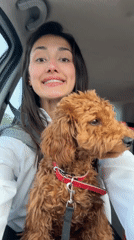 Woman spends afternoon with Goldendoodle puppy in Montenegro villages
