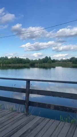 The video opens with a scenic view of a calm lake or pond, reflecting a bright blue sky adorned with white clouds. Green trees line the distant bank. A wooden boardwalk with a dark wooden railing is prominent in the foreground, with string lights strung above.

The camera then pans left, revealing more of the wooden boardwalk. A dark grey cat is seen lying stretched out and relaxed on the wooden planks. Further along the boardwalk, a person is seated on a bench, facing the water. The pan continues, showing a red brick building to the left of the boardwalk. Between the building and the boardwalk, there are patches of green grass with yellow dandelions. Two tall white poles stand near the building. Another person is visible sitting on a bench further down the boardwalk. The video concludes with a close-up shot of a lilac bush, covered in delicate purple flowers.

The scene depicts a peaceful daytime environment, likely a park or recreational area in Topolevo, Russia, with pleasant weather under a partly cloudy sky. There is no visible text.