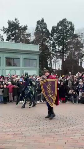 The video shows a public performance. A person dressed as a prince with a shield and sword battles two performers in costumes that look like armored insectoids. A crowd of onlookers watches. The performance happens on a brick-paved area. Behind the crowd are trees and a building with a green roof. The sky is overcast.
