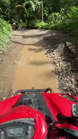 The video shows a first-person perspective of someone riding a red ATV on a muddy, rocky path through a lush, green forest. The rider is wearing a red helmet and a gray shirt. The camera occasionally pans to show the rider's face, revealing a light-skinned person with blond hair. The path is surrounded by trees and other vegetation, with glimpses of the sky visible through the foliage. The ATV splashes through puddles of water as it moves forward.