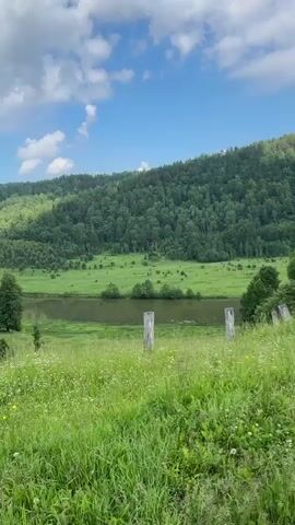 The video opens with a view of a rustic wooden house situated on a grassy hillside overlooking a body of water and a densely forested mountain. The sky is blue with scattered white clouds. As the video progresses, a young boy walks away from the camera, carrying a plastic bag. He is followed by a young girl wearing a light blue cap and carrying a butterfly net. They are walking down a dirt path, and the girl points off-camera. The scene suggests a rural or countryside setting with elements of nature and abandoned structures.