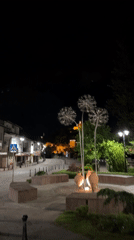Nighttime scenes documented across historic Veliko Tarnovo, Bulgaria