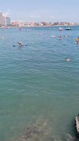 The video displays a wide shot of a crowded beach with a clear blue sky. The ocean is calm, with many people engaged in various water activities. Several individuals are seen paddleboarding, some standing and others in a kneeling position. There are also people swimming and floating in the water. Further out, several small boats and a yellow buoy are visible. In the background, a coastline is lined with buildings, including several tall, modern structures, and other smaller buildings. The water is shallow near the shore, allowing for a clear view of the rocky seabed. The overall scene depicts a lively summer day at the beach.