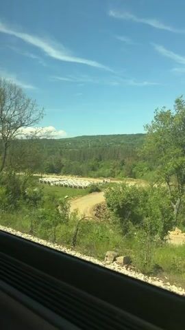 A view from a moving train. The window frame is visible in the foreground.  The landscape is characterized by rolling hills covered in green trees. A line of cylindrical concrete structures lies in a field. There's a patch of bare earth alongside a dirt road. An electrical pole passes by the window. The sky is bright blue with thin white clouds. The environment appears to be rural.