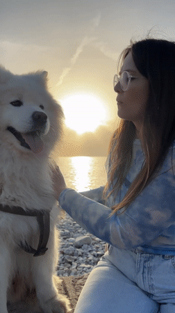 Woman and Samoyed dog share sunset moment on Montenegro beach