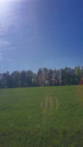 The video shows a rural landscape. A green meadow stretches out under a bright blue sky. The sun is shining, and there are a few wispy clouds. A line of trees borders the meadow. The video seems to have been taken from a moving vehicle. There are slight distortions in the image, likely from the window. A bird can be seen flying briefly in the sky.