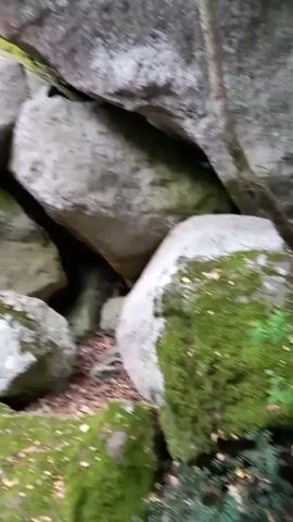 The video opens with a close-up of moss-covered rocks in a forest setting. The camera then pans to the right, revealing a winding stone path and lush green trees overhead. In the distance, two people can be seen on the path, one sitting and the other standing. The scene appears to be a park or nature trail.